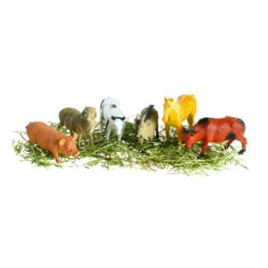 Large Farm Animals Set of 6 (Lesson Plans & Worksheets Included)