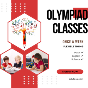 Olympiad online classes